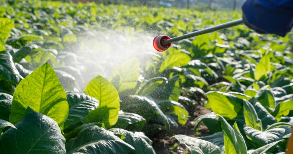 Afaceri Ilegale cu Pesticide la Petroșani: O Investigație Detaliată asupra Riscurilor și Implicațiilor pentru Sănătate și Mediu