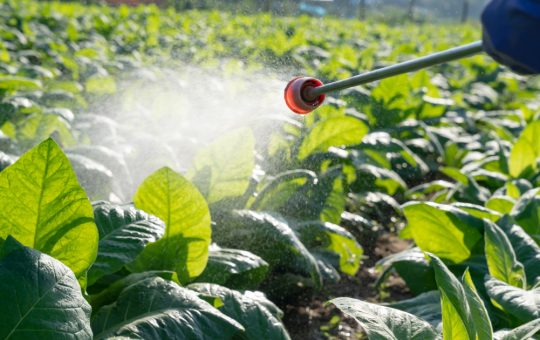 Afaceri Ilegale cu Pesticide la Petroșani: O Investigație Detaliată asupra Riscurilor și Implicațiilor pentru Sănătate și Mediu