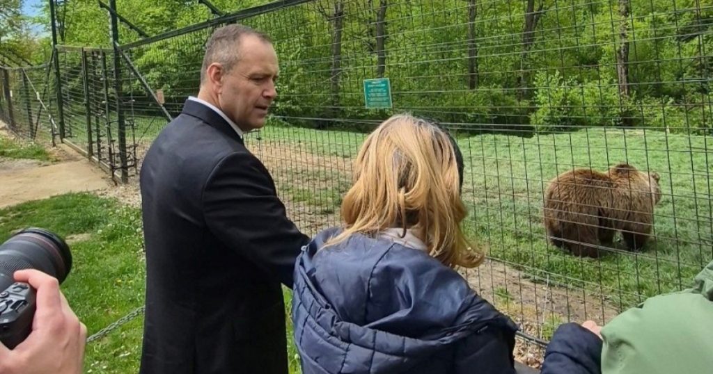 Karol Nawrocki și Sanctuarul Urșilor de la Zărnești: O Lecție de Empatie și Responsabilitate Ecologică