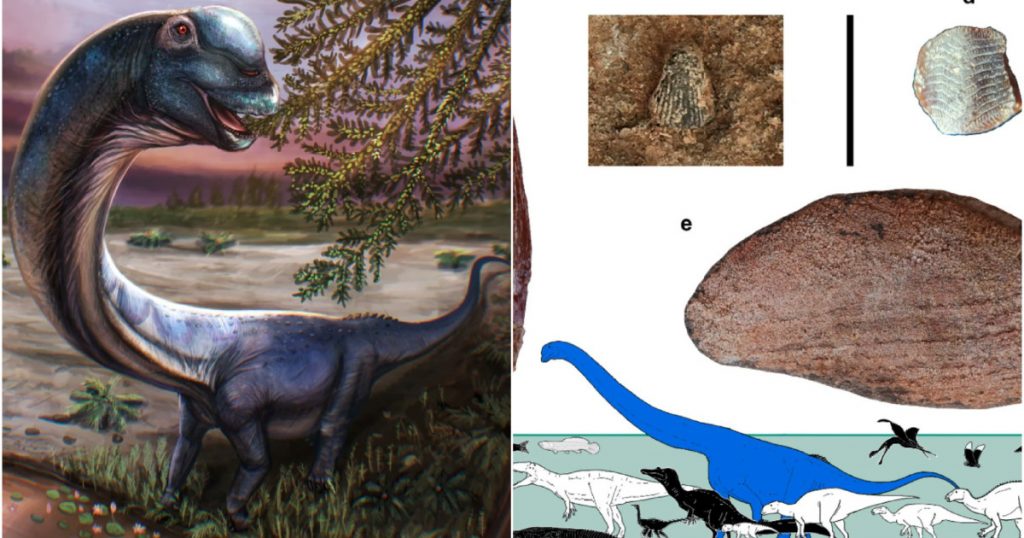Descoperirea ultimului titan al Asiei de Sud-Est: Nagatitan chaiyaphumensis și impactul său asupra paleontologiei
