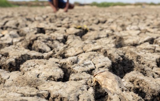 Impactul unui Super El Niño: Provocări și Consecințe pentru Viitorul Planetei