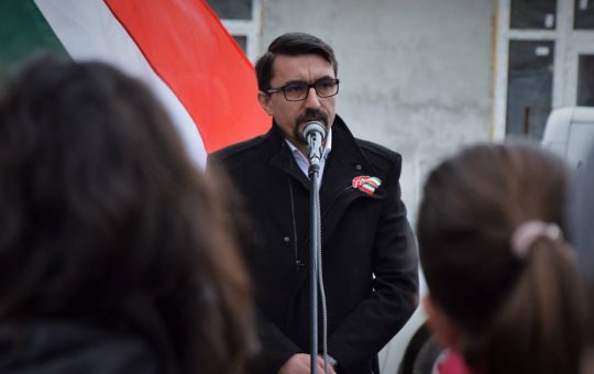 Criza Guvernamentală în România: Perspectivele UDMR și Posibilitatea Alegerilor Anticipate