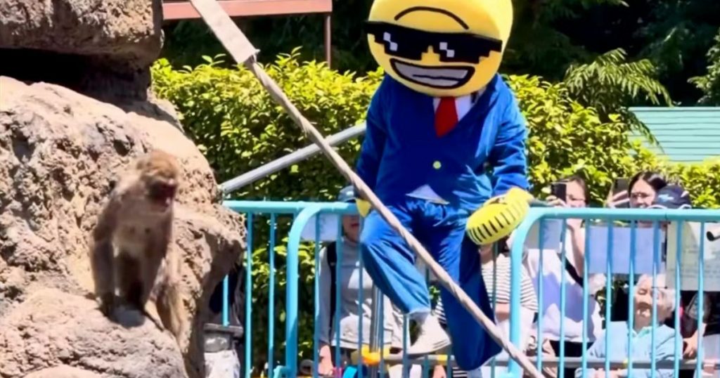 Incidentul de la Grădina Zoologică: Impactul Comportamentului Influencerilor asupra Faunei sălbatice
