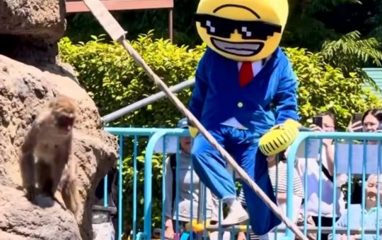 Incidentul de la Grădina Zoologică: Impactul Comportamentului Influencerilor asupra Faunei sălbatice