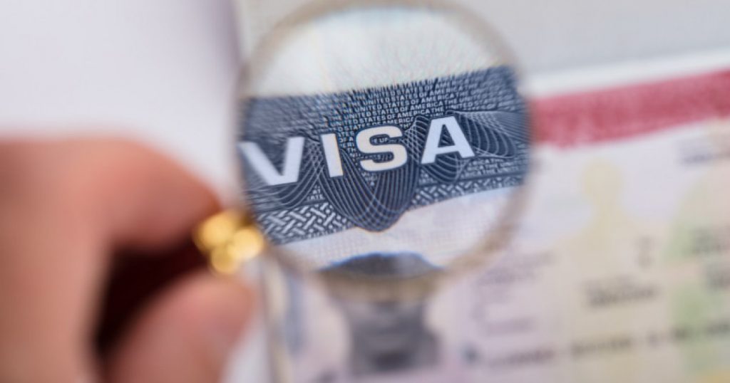 Perspectivele Programului Visa Waiver: O Analiză Detaliată a Declarațiilor Oanei Ţoiu în Contextul Relațiilor România-SUA