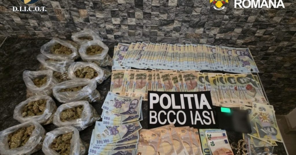 Cocaină vândută sub protecția unei vulcanizări din Iași: o rețea de trafic de droguri demascată