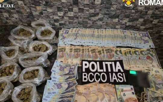 Cocaină vândută sub protecția unei vulcanizări din Iași: o rețea de trafic de droguri demascată