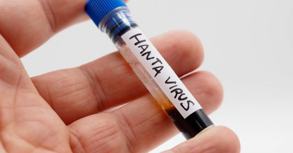 Recuperarea unui pacient confirmat cu hantavirus în România: Implicații și Perspective
