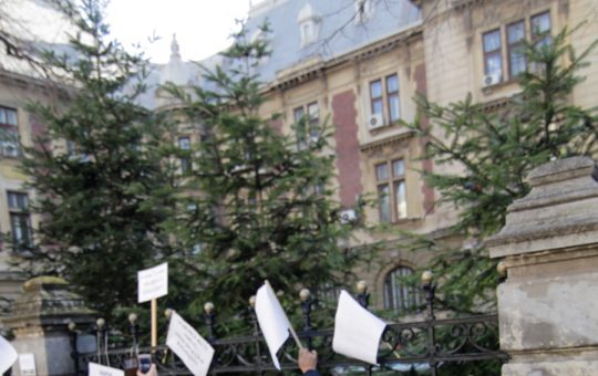 Tensiuni în Agricultură: Protestele Sindicatului APIA și Noile Inechități Salariale
