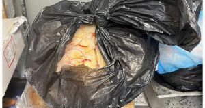 Sanctiuni severe pentru British School of Bucharest: O analiză a scandalului alimentelor expirate