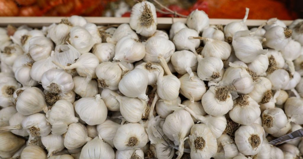 Sprijinul Guvernului pentru Fermierii de Usturoi: O Măsură Esențială pentru Agricultura Românească