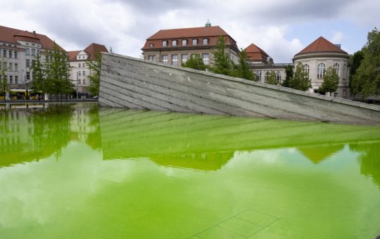 Protestul Verde din Germania: O Artă a Activismului Ecologic în Fața Provocărilor Energetice