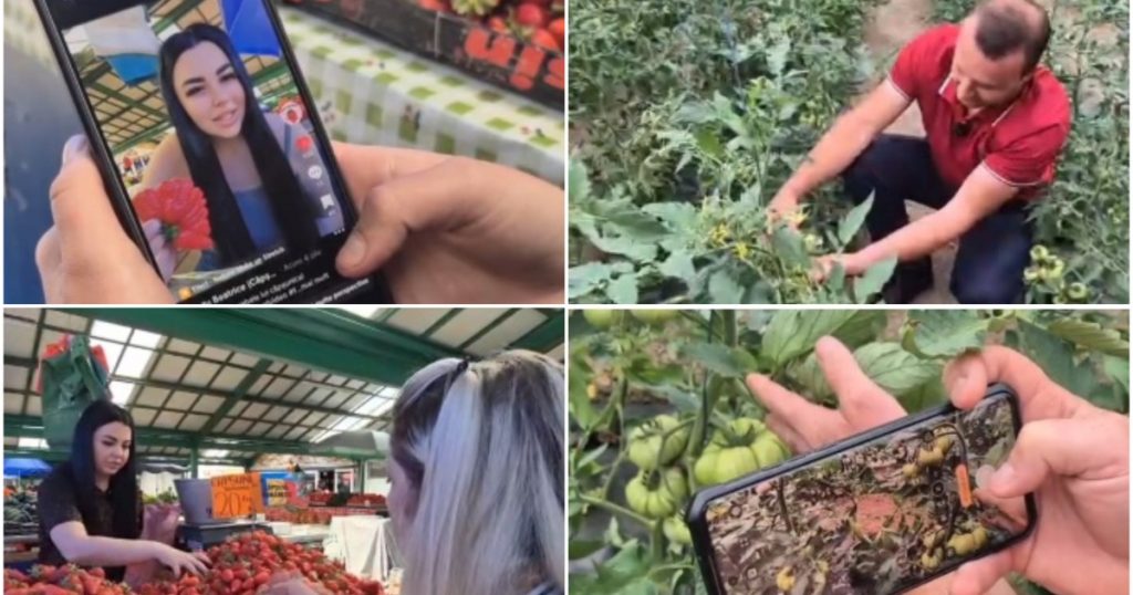 Revoluția Social Media în Comerțul cu Fructe și Legume: O Privire Asupra Impactului Digitalizării în Piețele Locale