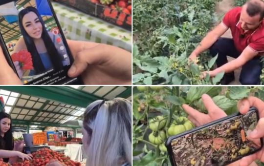 Revoluția Social Media în Comerțul cu Fructe și Legume: O Privire Asupra Impactului Digitalizării în Piețele Locale