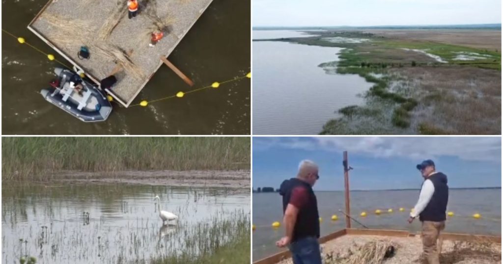 Inovație ecologică în Dolj: Insule artificiale pentru păsările sălbatice pe Lacul Bistreț