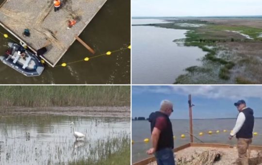 Inovație ecologică în Dolj: Insule artificiale pentru păsările sălbatice pe Lacul Bistreț