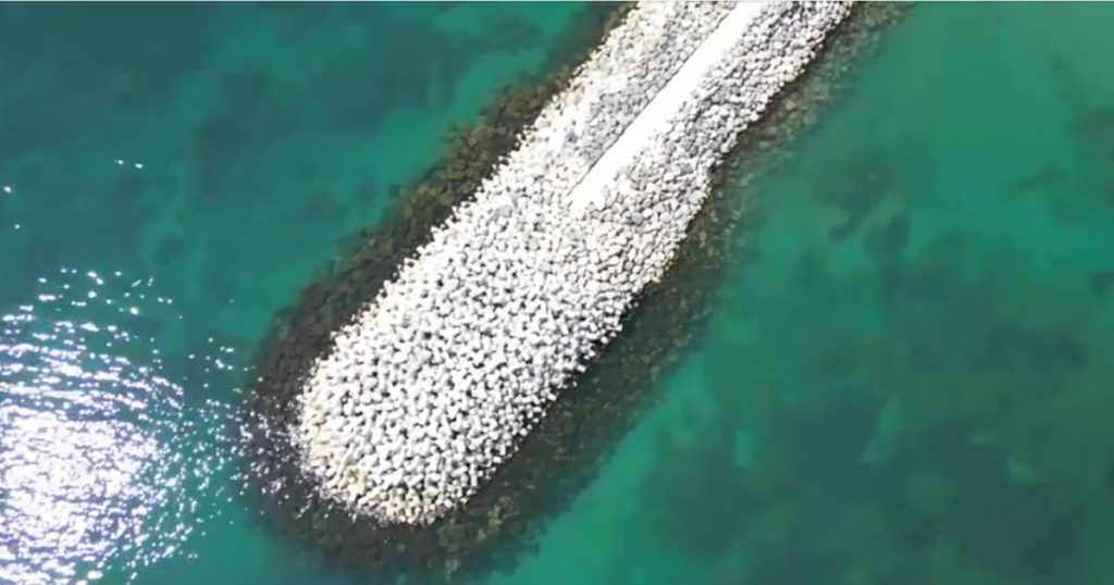 Marea Neagră îmbracă nuanțe de turcoaz: O analiză a fenomenului natural și impactul său asupra litoralului românesc