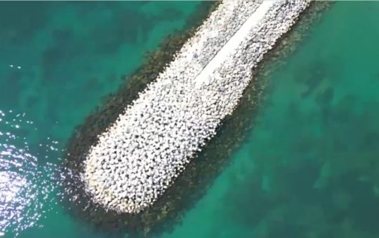 Marea Neagră îmbracă nuanțe de turcoaz: O analiză a fenomenului natural și impactul său asupra litoralului românesc