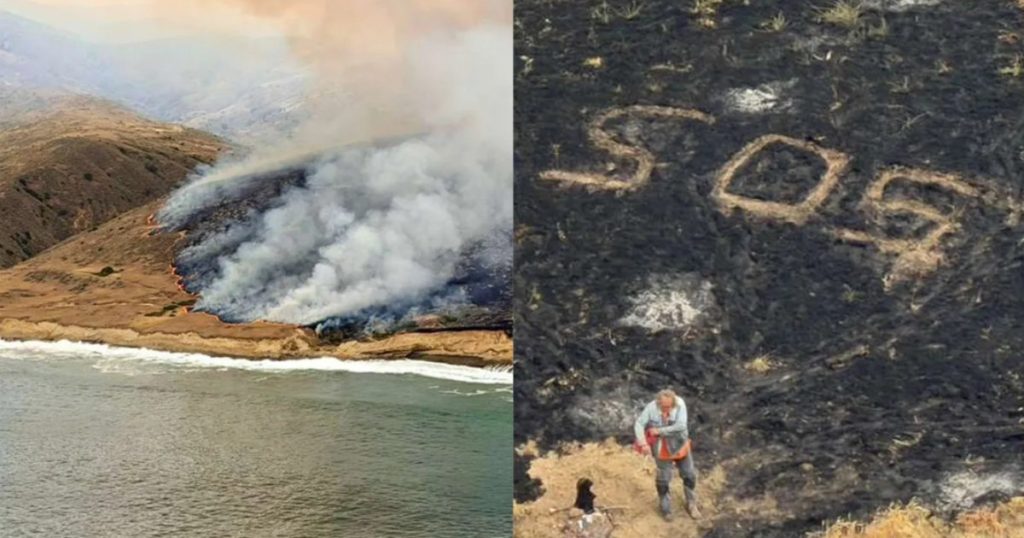 Incendiul devastator de pe insula Santa Rosa: O bijuterie naturală sub amenințare