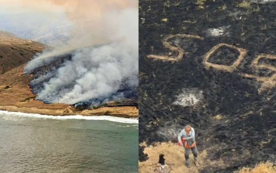 Incendiul devastator de pe insula Santa Rosa: O bijuterie naturală sub amenințare