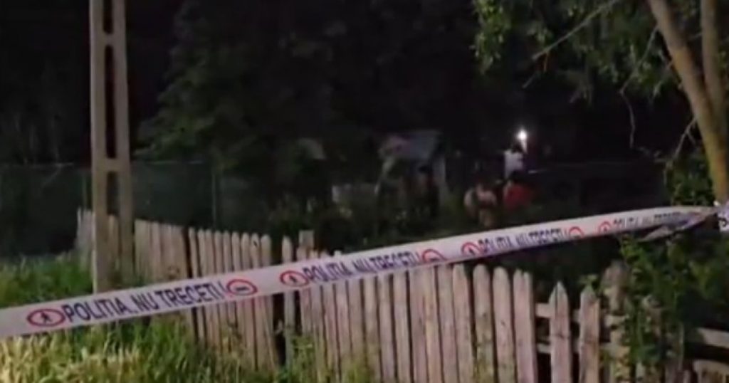 Tragedia din Movila Banului: Un copil de 4 ani și atacul unui câine ciobănesc – O analiză detaliată