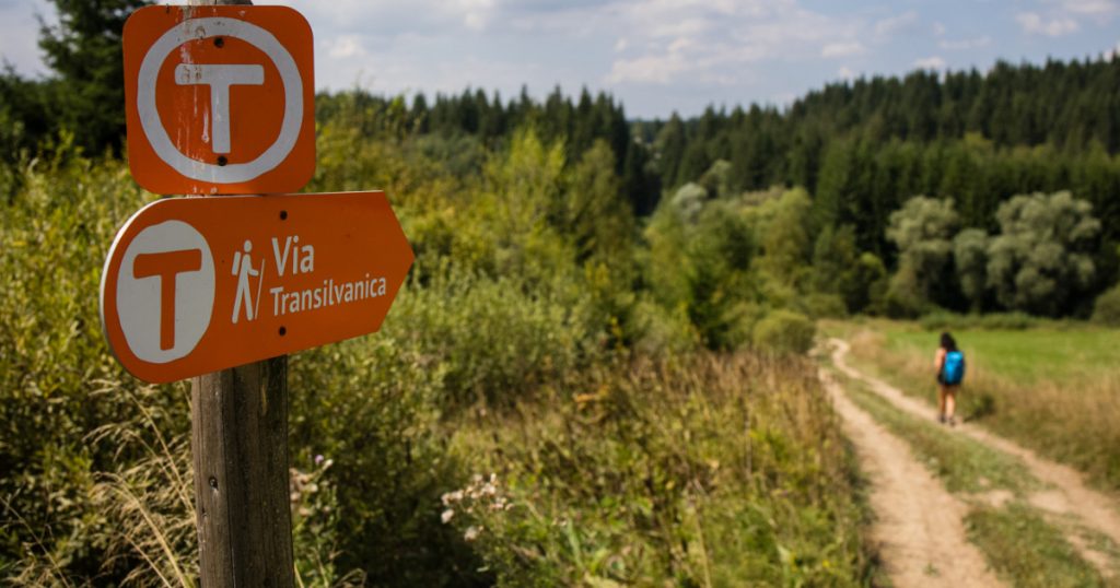 MedLife și Via Transilvanica: O Alianță pentru Sănătate și Stare de Bine