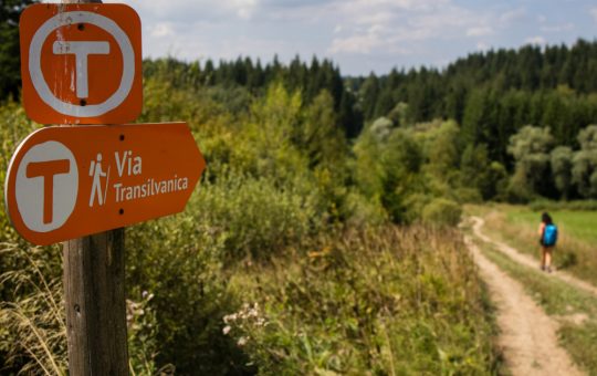 MedLife și Via Transilvanica: O Alianță pentru Sănătate și Stare de Bine