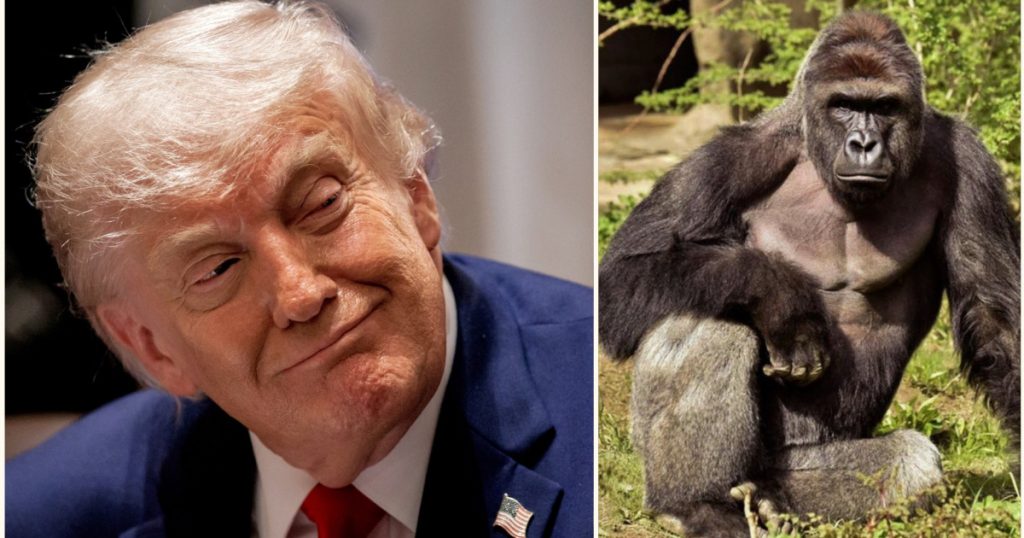 Controverse și Ironie: Moartea Gorilei Harambe și Impactul Asupra Politicii Americane