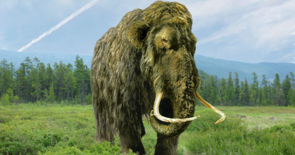 Misterul Oaselor din Alaska: De la Mamut Lânos la Balene Antice