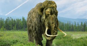 Misterul Oaselor din Alaska: De la Mamut Lânos la Balene Antice