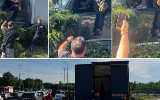 Intervenție controversată: Poliția Locală din Constanța și utilizarea excesivă a forței în cazul unui accident rutier