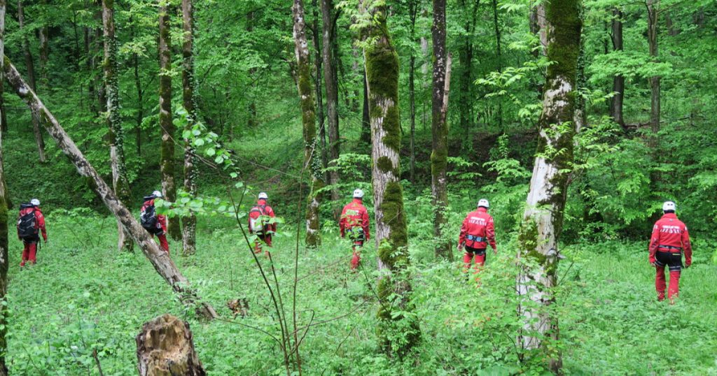 Ursii și viperele în ascensiune: Provocările turistice ale verii 2026 și recomandările Salvamont