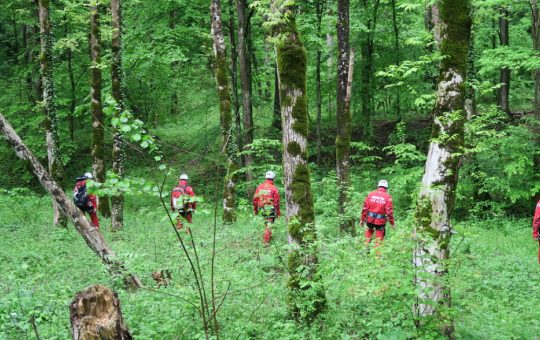 Ursii și viperele în ascensiune: Provocările turistice ale verii 2026 și recomandările Salvamont