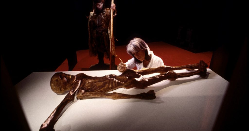 Descoperiri Inedite în Intestinele lui Ötzi: O Privire Asupra Microbiotei Preistorice