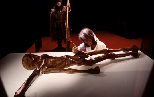 Descoperiri Inedite în Intestinele lui Ötzi: O Privire Asupra Microbiotei Preistorice