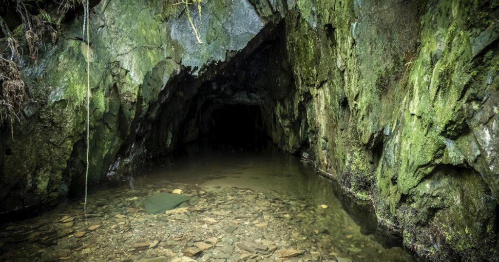 Descoperirea artei rupestre din Regatul Unit: Un nou capitol în istoria preistorică