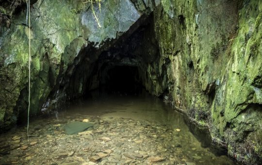 Descoperirea artei rupestre din Regatul Unit: Un nou capitol în istoria preistorică