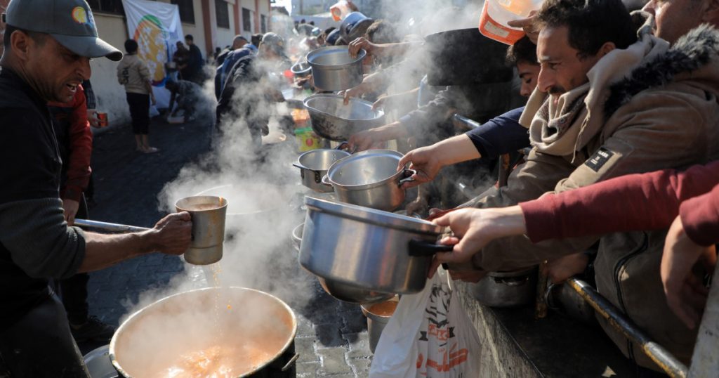 Alimentele Contaminate: O Criză Globală cu Consecințe Devastatoare