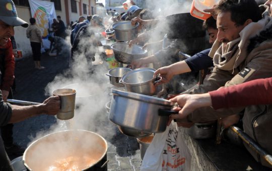Alimentele Contaminate: O Criză Globală cu Consecințe Devastatoare