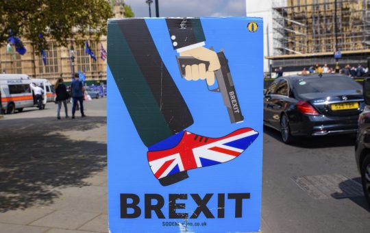 Reflecții asupra Brexitului: Cum a evoluat opinia publicului britanic la zece ani de la referendum