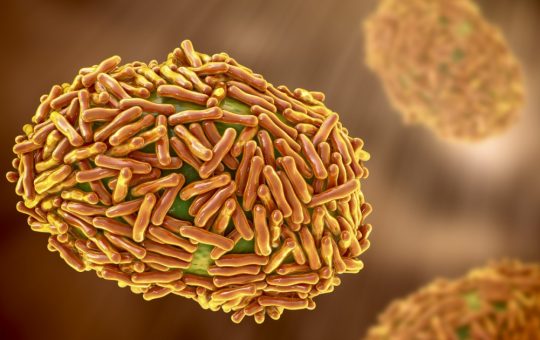 Controversă în cercetarea virală: Doi cercetători reținuți pentru introducerea virusului mpox în SUA
