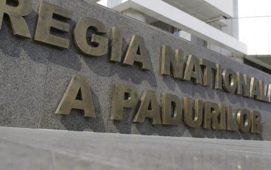 Problemele de transparență și gestionare în silvicultură: Romsilva și scandalul puieților fantomă
