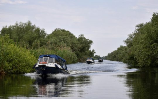 Reglementarea vitezei bărcilor în Delta Dunării: O măsură esențială pentru conservarea biodiversității