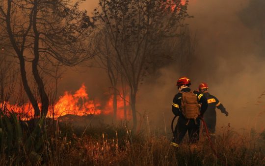 Operațiunea Europeană de Combatere a Incendiilor de Vegetație: O Inițiativă Istorică în Contextul Schimbărilor Climatice