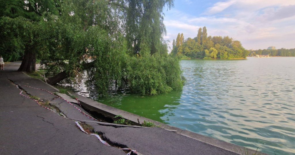 Reabilitarea Lacului Herăstrău: Provocări Ecologice și Urbanistice în Inima Bucureștiului