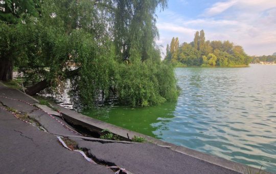 Reabilitarea Lacului Herăstrău: Provocări Ecologice și Urbanistice în Inima Bucureștiului