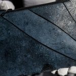Geanta din ‘piele’ de dinozaur: O privire asupra inovației, controversei și impactului cultural