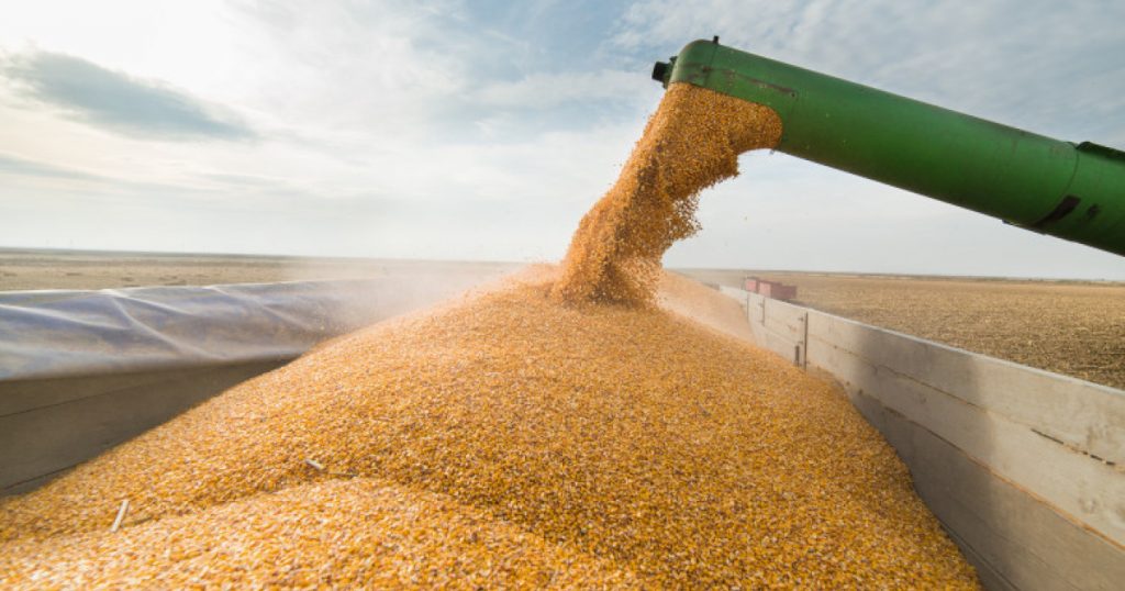 Criza îngrășămintelor în Uniunea Europeană: O provocare urgentă pentru securitatea alimentară