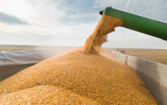Criza îngrășămintelor în Uniunea Europeană: O provocare urgentă pentru securitatea alimentară
