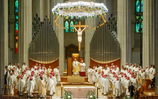 Incidentele de la Sagrada Familia: O ceremonie marcată de tensiuni politice în timpul vizitei Papei Leon al XIV-lea